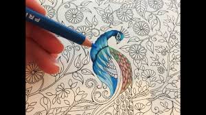 You might also be interested in coloring. Peacock Part 1 3 Secret Garden Adult Coloring Book Coloring With Colored Pencils Youtube
