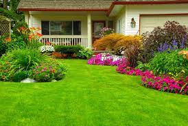 Landscaping Property Masters Llc Home Landscaping Backyard Landscaping Designs Front Yard Landscaping