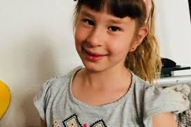 The Phelan Mcdermid Syndrome