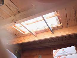Les Tuiles Transparentes La Solution Pour Gagner De La Luminosite