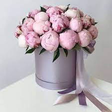 Купить букет из 23 розовых пионов в коробке по доступной цене с доставкой в  Москве и области в интернет-магазине Город Букетов