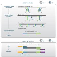 Lexogen Has Announced The Release Of Sense Total Rna Seq Library Prep Kit For Illumina This Kit Will Allow To Reduce Complexity And Im Library Coding Prepping