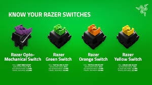 Razer Makes A Handy Dandy Visual Guide To Its Family Of