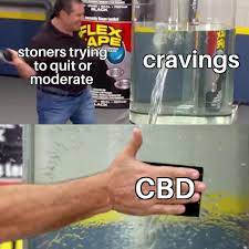 Tlry investment & stock information. Cbd Really Is Amazing Petioles