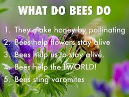 How to bees help flowers. Bees By Room18 Eighteen