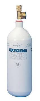 2 bornes avec chacune 2 type 2 et une domestique ue. Bouteille Rechargeable De Gaz Oxygene Campingaz 50000 500 Litres Leroy Merlin