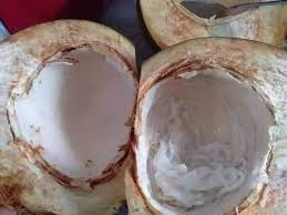 Resepi mudah membuat jeli kelapa/coconut jelly #jelikelapa #coconutjelly #kelapamuda. Mudah Je Buat Jeli Kelapa Muda Segar Enak Rasanya Makan Sejuk Sejuk Pa Ma