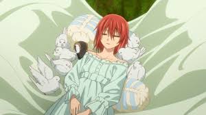 He is a mage who is a being made of both fae and human elements, though his origins are a mystery. More On The Ancient Magus Bride Or What The Heck Is A Sleigh Beggy Funblog