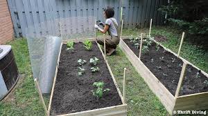 What do raised bed vegetable gardens look like? How To Build A Diy Raised Garden Bed And Protect It With A Metal Fence