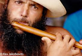 Best insect repellent?