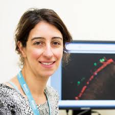 Annual Report 2017–2018