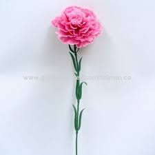 It attaches to a host plant in order to sap nutrients and water. Hong Kong Sar Fake Flowers Artificial Single Stem Carnation On Global Sources Fake Flower Rose Silk Flower