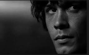 Bellamy Blake »→ The 100 Role Player •