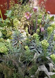 Best Small Garden Design Ideas From The Young Gardeners Competition Small Garden Design Small Garden Garden Design