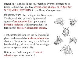 The unit of heredity is the gene. Charles Darwin 1809 1882 Descent With Modification And