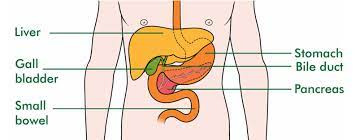 The initial symptoms of stomach cancer are vague and easy to mistake for other less serious conditions. Burping A Sign Of Stomach Cancer