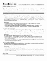 Account Executive Sample Resume Account Manager Sample Resume Account Executive Resume Example Business Analyst Resume Resume Examples Project Manager Resume