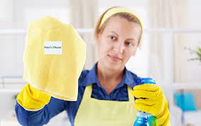 Servicing alexandria va, maid to please provides the best housekeeping services for your home while keeping in mind your privacy as well as your safety. Maids And Cleaning Services In Alexandria Maid To Please