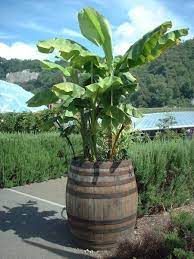 Maybe you would like to learn more about one of these? Railway Sleepers