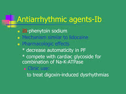 Image result for Antiarrhythmic