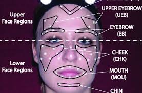 Maybe you would like to learn more about one of these? Positions Of Face Markers And Six Face Regions Chin Forehead Cheek Download Scientific Diagram
