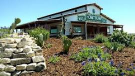Trivia Night - Pollinators & Flowers