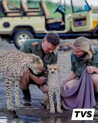 The Voice - Hats Off Forest Rangers cum Rescuers ! Cheetah Cub Clings to Life After Being Saved from Drowning by Rescuers Somewhere In Africa. #blessingindisguise #cheetah #Africa #HumanityFirst #AnumalKingdom #WildLife #ForstRanger #