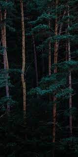 The great collection of green iphone wallpapers for desktop, laptop and mobiles. Green Witch Wallpapers Top Free Green Witch Backgrounds Wallpaperaccess