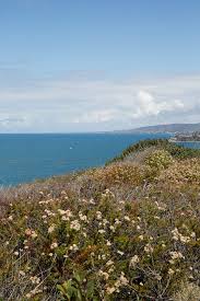 By the sea, followed by 190 people on. Pretty Ocean View From Cliff By Curtis Kim Beach Ocean