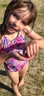 Found baby turtle at pond