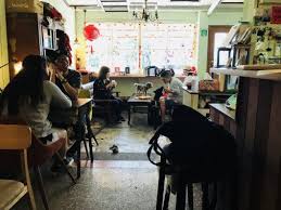 Lang Lang 13 Cute Animals Cat Rescue Cat Cafe