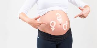 Ab wann können experten überhaupt das geschlecht des kindes sehen? Der Ultraschall Was Kann Man Sehen Und Vor Allem Ab Wann Babytown Blog