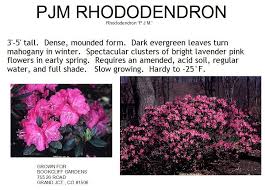 Pin On The New Garden