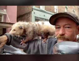 Steven Ibanez (@spibanez)