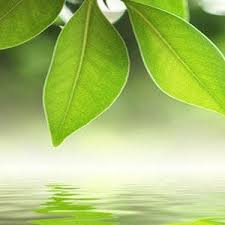 Check spelling or type a new query. Claudia Perez Home Facebook