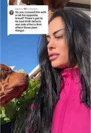 Respuestas divertidas sobre gatos y perros