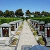 See more ideas about serenity garden, garden design, outdoor gardens. 1