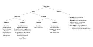 Image result for Acute Vision Loss