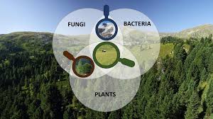 Microbial Interactions in Snow-Covered Habitats