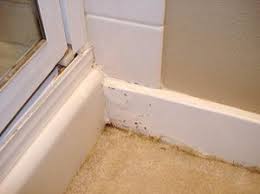 The plumber has brought out the wall to fix the shower to so i'm worried that a leak behind my tiles is causing water damage to wood. Water Damage From Shower