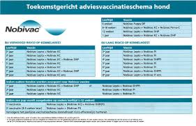 Dit is van belang voor een degelijke bescherming. Dierenziekenhuis Oldenzaal