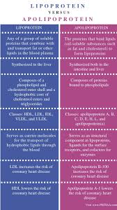 What Is The Difference Between Lipoprotein And