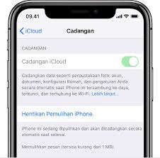 Recovery file kontak, sms, foto, video, catatan, dll. Mengenai Informasi Yang Hilang Setelah Anda Memulihkan Iphone Ipad Atau Ipod Touch Dengan Cadangan Icloud Apple Support Id