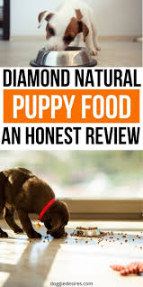 Checkout these links for updated price of dog food; Diamond Naturals Puppy Food Review The Right Choice For Your Canine Companion Doggie Desires Natural Puppy Puppy Food Puppy Food Reviews
