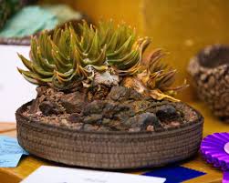 Sacramento Cactus & Succulent Society