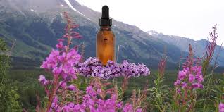 British physician edward bach left allopathic medicine in the 1930's to focus solely on flower essences. Flower And Other Essences Refreshing Horizons