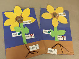Check spelling or type a new query. April Showers Bring May Flowers Mrs Costa S Preschool At Memorial