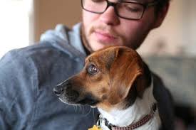 * we are now open thursdays to the public, with no appointment necessary. Dog Adoption Fees Dog Adoption Costs How Much Is Dog Adoption Petmd