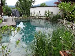 Weitere ideen zu garten, wasser im garten, wassergarten. Naturpool Teich Wir Beraten Sie Gerne Zur Umsetzung In Ihrem Garten