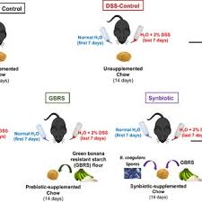 Pdf Synbiotic Supplementation With Prebiotic Green Banana Resistant Starch And Probiotic Bacillus Coagulans Spores Ameliorates Gut Inflammation In Mouse Model Of Inflammatory Bowel Diseases